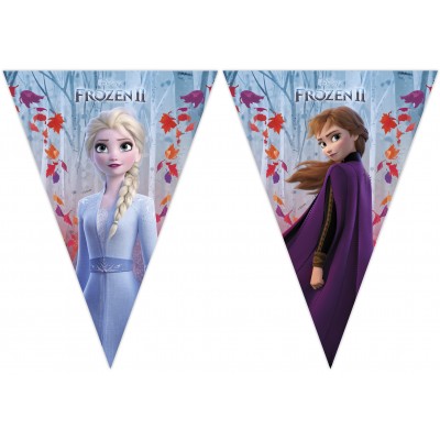 Vlajkový baner Frozen 2